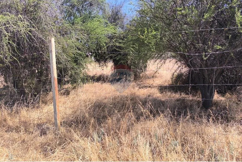 Terreno Plano | Canje Corredoras