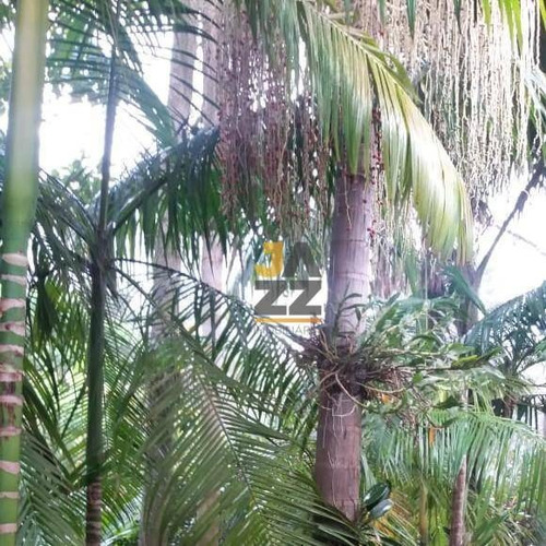 Linda Chácara Com 3 Dormitórios À Venda, 1060 M² Por R$ 680.000 - Jardim Santa Alice - Santa Bárbara D'oeste/sp - Ch0641