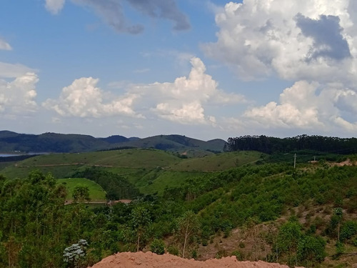 Imagem 7 de 12 de Pj* Proprietário Com Lotes Excelentes Com Vista Para Área Verde Confira *