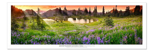 Póster De Arte Paisajístico: Parque Nacional Mount Rainier A