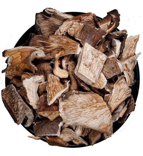 Hongos Girgolas Pleurotus Oyster Deshidratad 500g | Sir Neko
