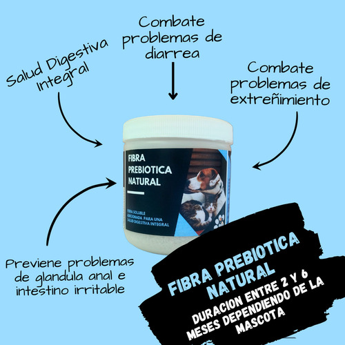Kit Alimentacion Integral Para Salud Y Bienestar De Gatos