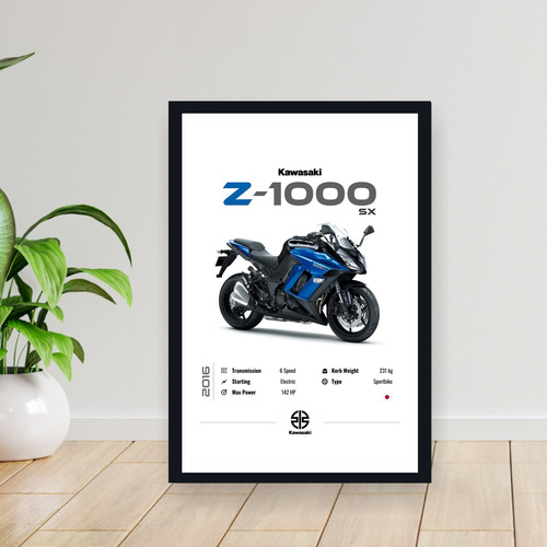 Cuadro 30x40 Moto Kawasaki Z-1000 Sx 2016