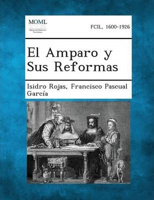 Libro El Amparo Y Sus Reformas - Isidro Rojas