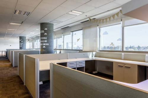 Imagen 8 de 19 de Oficinas Alquiler Saavedra