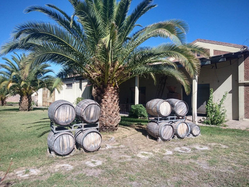 Imagen 1 de 21 de Bodega En Fray Luis Beltrán