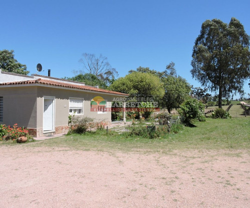 Imagen 5 de 25 de Chacra En Venta 3has, Casa, Arroyo, Tajamar, Monte, Montevideo Rural, A Minutos De La Paz