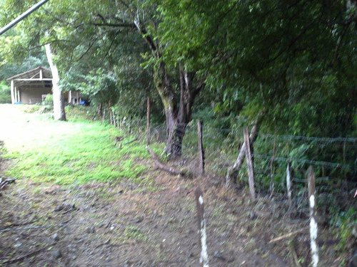 Imagen 13 de 14 de Terreno De Abangares