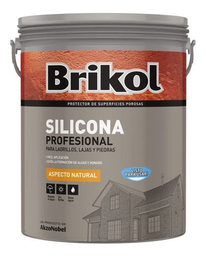 Brikol Ladrillos Silicona Agua Incoloro 4 Lts Akzo - Iacono