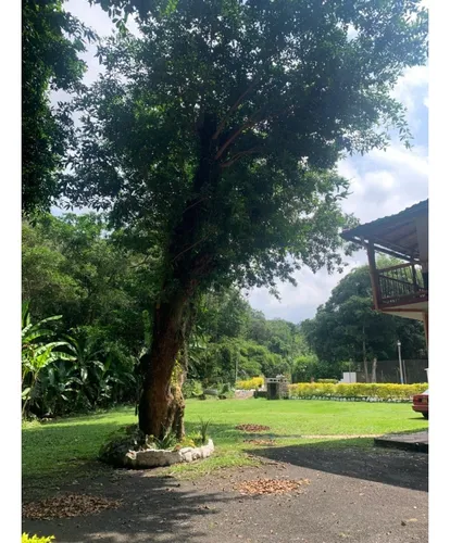 Acsi 1105. Finca En Venta, La Vega Cundinamarca