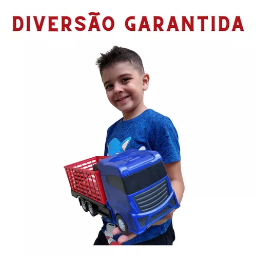 Caminhão Superfrota Boiadeiro Azul