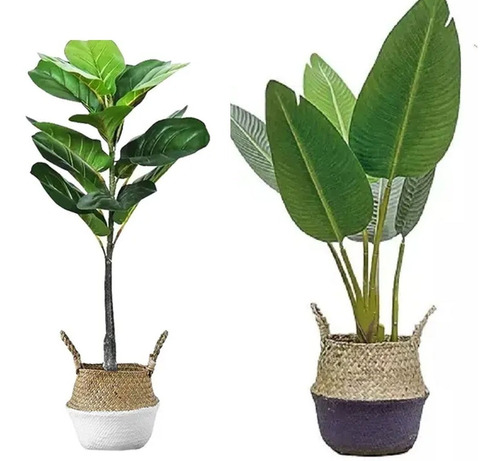 Planta Artificial Ficus 74 Cm + Ave De Paraíso Banana X2