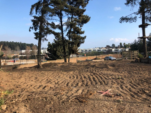 Imagen 1 de 4 de Terreno En Los Pinos A Pasos De Gastón Hamel
