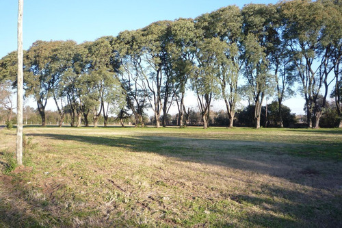 Imagen 5 de 8 de Terreno - Escobar