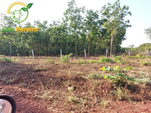 Imagem 1 de 12 de Fazenda À Venda Em Abreulândia - 696,96 Hectares (dupla Aptidão) - 2023
