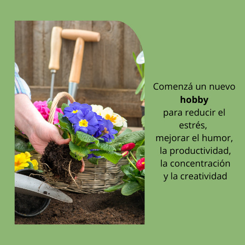 Semillas Organicas De Calendula Ideal Jardin