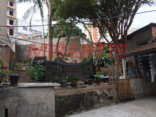 Imagem 5 de 12 de Terreno Em Vila Maria - São Paulo, Sp - 343526