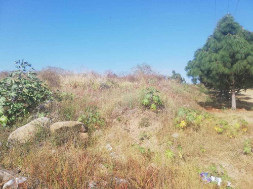 Imagen 5 de 9 de Terrenos Habitacionales En Venta En Fraccionamiento San Rafael Cuauhtémoc Colima