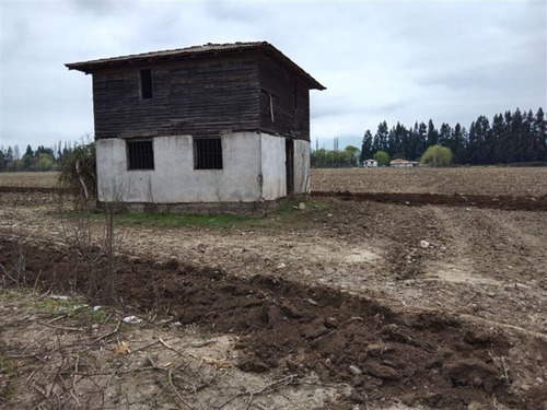 Sector Pencahue| (74921)