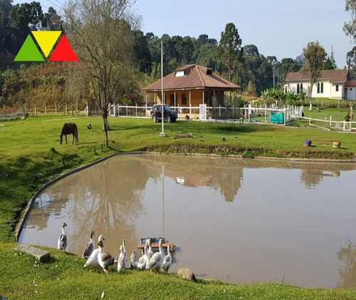 Imagem 2 de 30 de Chácara Em Cai De Baixo - Ch00088 - 34982990