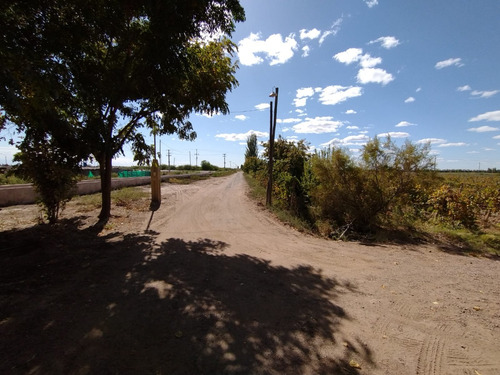 Imagen 10 de 16 de ¡zeballos Estudio Jurídico E Inmobiliaria Vende Finca En Producción En Lavalle! Mat. 134/135