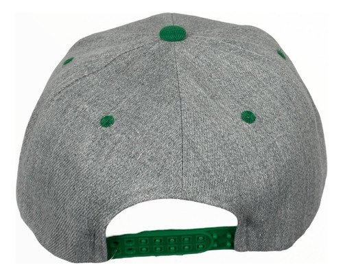 Gorra Lucha Libre Aaa Mr Iguana Visera Plana Gomriguana