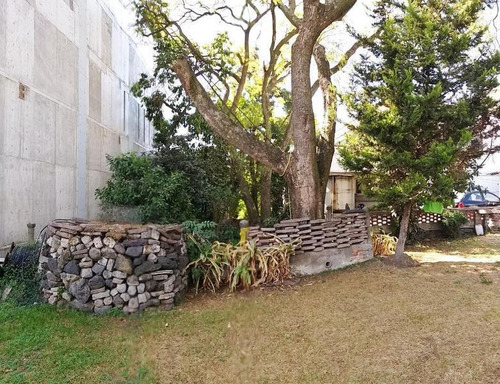 Imagen 6 de 7 de Venta Terreno Uso Mixto Col. Las Águilas