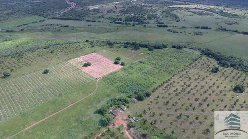 Imagem 11 de 12 de Fazenda 111ha, Santa Luzia De Touros
