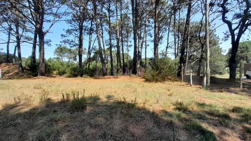 Imagen 14 de 16 de Venta De Lote En Barra Verde, La Barra, Uruguay - La Barra Barra Verde
