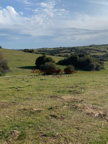 Imagen 18 de 30 de Venta Chacra 5 Has Ubicada En Jose Ignacio Proximo A Garzon