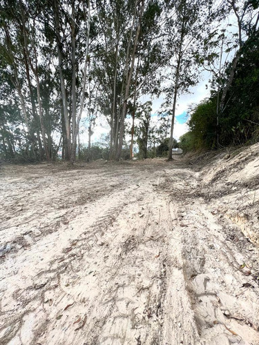 Imagen 5 de 7 de Se Vende Terreno 3.600m2 Alto Hatillo 7608