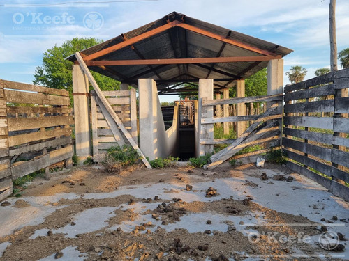 Campo En Venta 1217 Has En Villa Guillermina, Santa Fe.