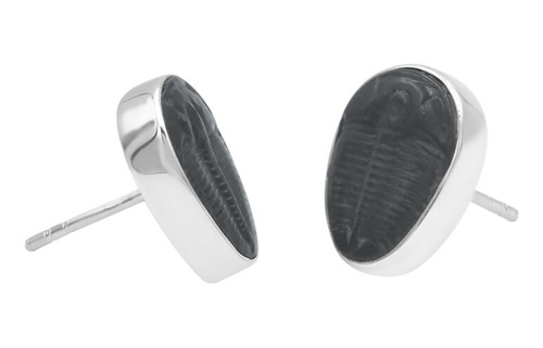 Aretes De Trilobites Fósiles En Plata De Ley