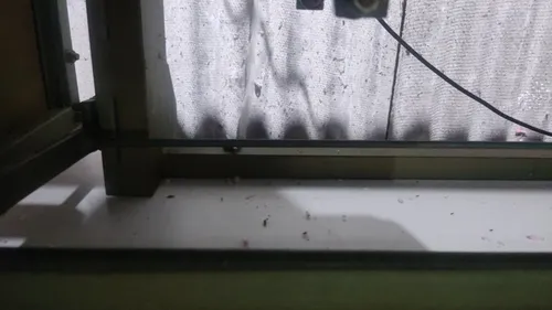 Infestadeira Com Mesa