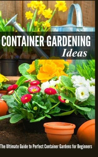 Container Gardening Ideas The Ultimate Guide To Perfect Cont