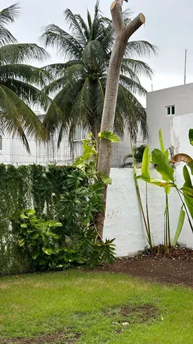 Casa En Venta Ubicada En Sodzil Norte, Merida.