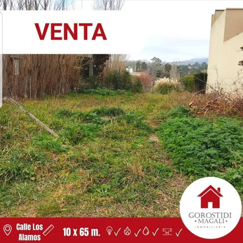 Imagen 1 de 1 de Lote En Venta-oportunidad