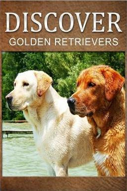 Libro Golden Retrievers - Discover : Early Reader's Wildl...