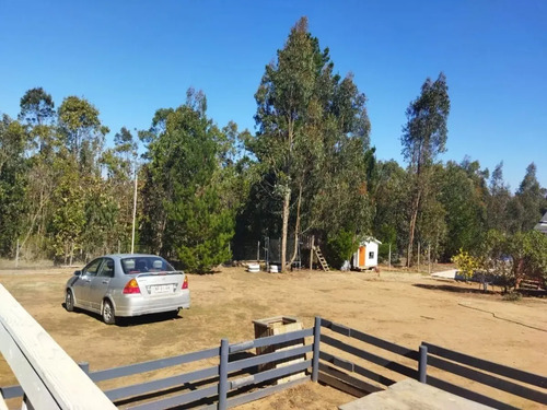 Venta De Parcela En Fundo La Petrilla, Algarrobo