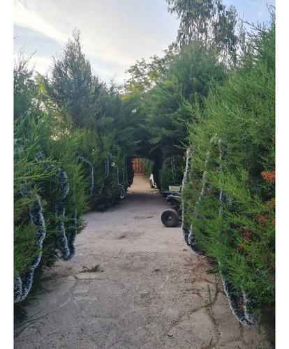 Se Vende Casona Con Salon De Eventos, Paine