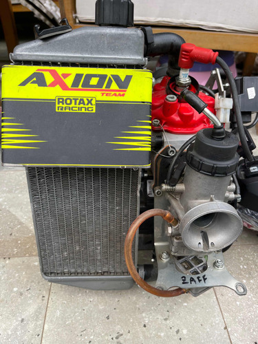 Motor Rotax 125 Karting
