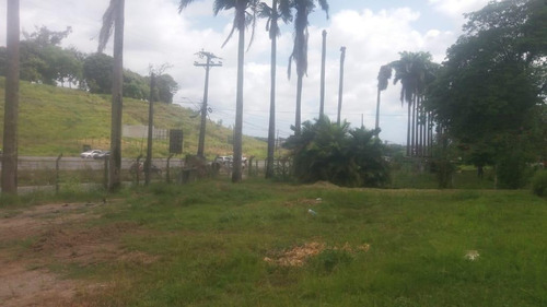 Imagem 18 de 20 de Terreno Com Salas - Te0174