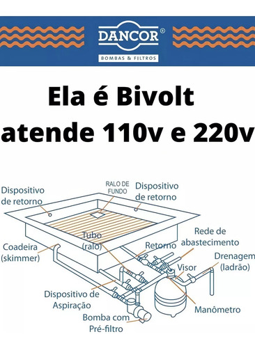 Bomba Dancor Piscina Pf 17w 1/2cv Weg Bifasico 110/220