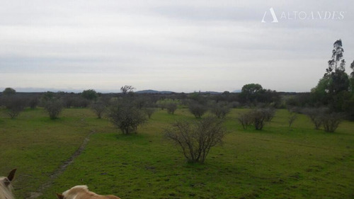 Sitio En Venta En San Javier
