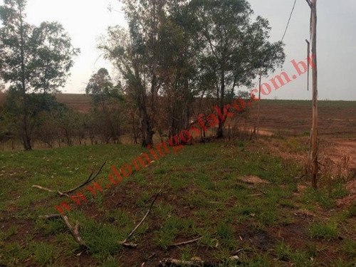 Imagem 6 de 19 de Venda - Chácara - Colina Santa Izabel (tupi) - Piracicaba - Sp - D0440
