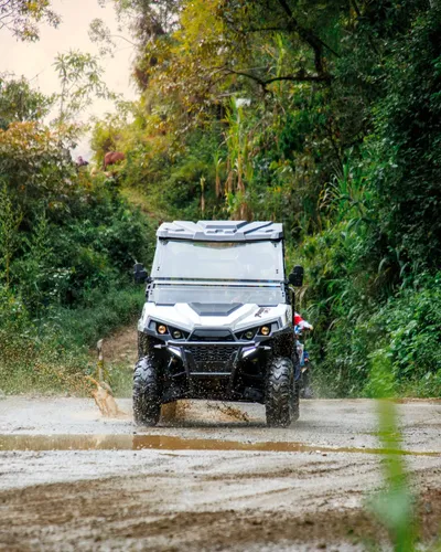 Buggy Plr 550 Cc - 4x4