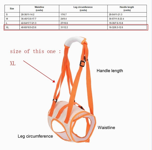 Arnés De Malla Para Mascota Para Perro, Soporte Trasero, Cin