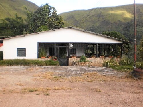Imagen 14 de 14 de Finca 70 Hectareas Mun Tovar Aragua