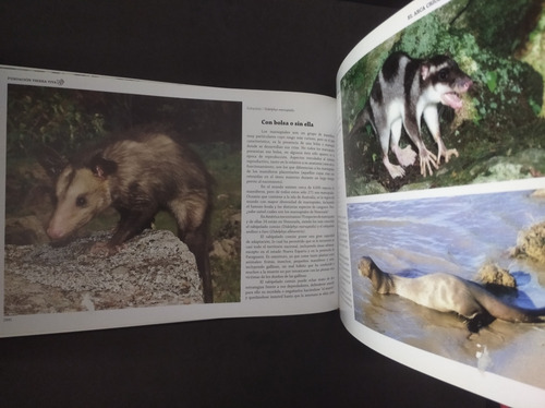 1.3 Relatos Sobre Animales De Venezuela El Arca Criolla (Usado)