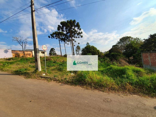 Imagem 7 de 7 de Terreno À Venda, 2150 M² Por R$ 850.000,00 - Gralha Azul - Fazenda Rio Grande/pr - Te0035